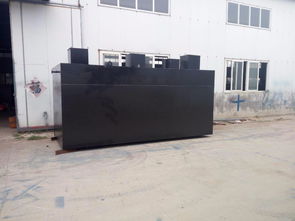 高效潔凈，守護(hù)環(huán)境 地埋式豆類加工污水處理與洗滌設(shè)備解決方案